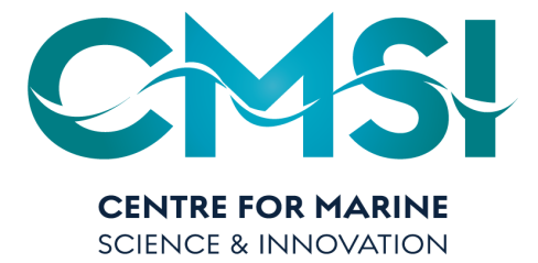 CMSI logo